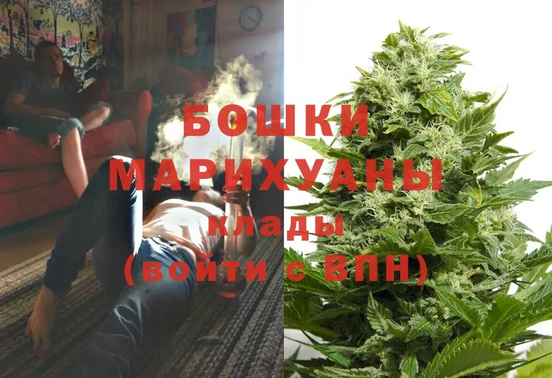 Конопля White Widow  Александров 